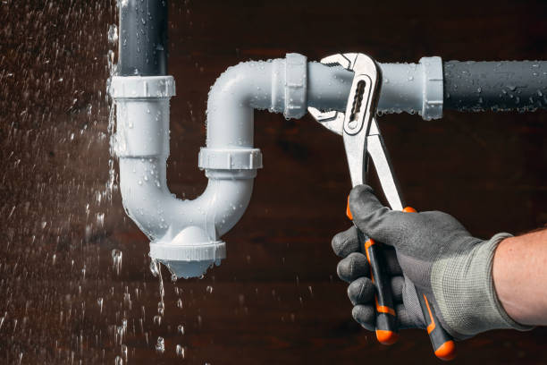 Professional Leak Detection technician working in Palmer, IL